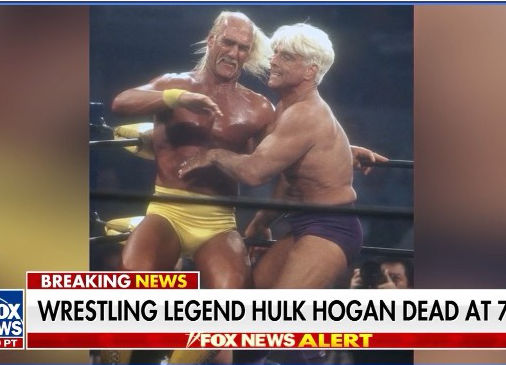 OPINION: Hulkamania and the State Board of Education’s Porn Panic of 2025