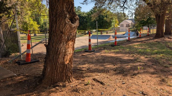 Tree Damage